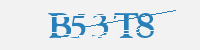 보안문자